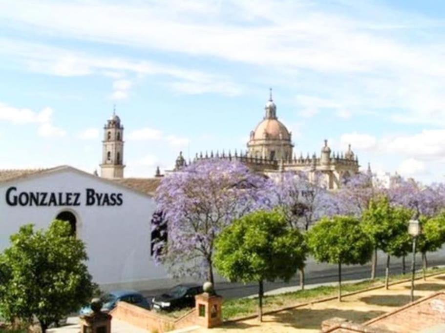 Apartament Apartamento Loft Jerez Buleria Jerez de la Frontera Zewnętrze zdjęcie